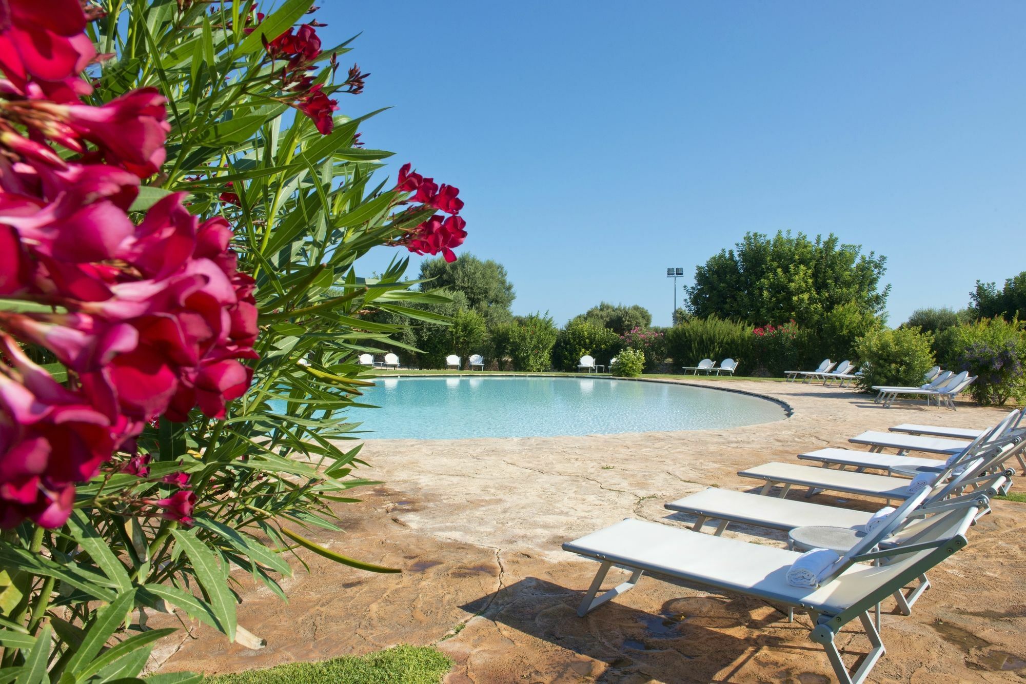 Masseria Don Luigi-Luxury Farmhouse サヴェッレトリ エクステリア 写真