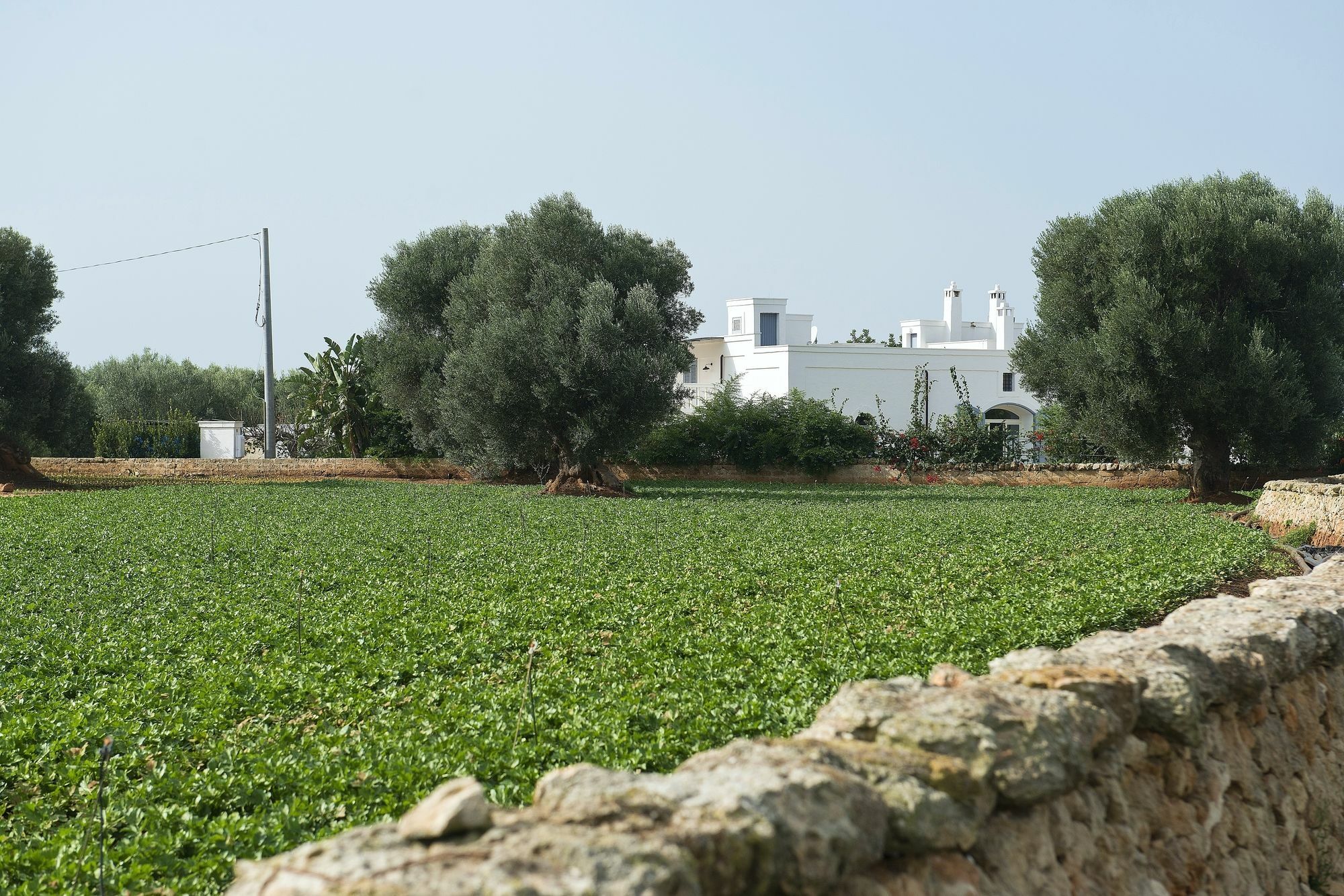 Masseria Don Luigi-Luxury Farmhouse サヴェッレトリ エクステリア 写真
